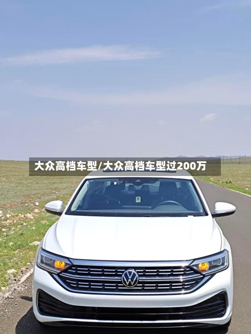 大众高档车型/大众高档车型过200万