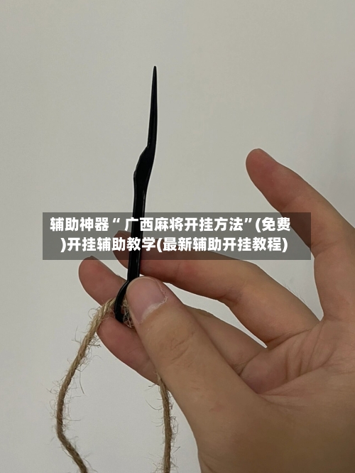 辅助神器“ 广西麻将开挂方法”(免费)开挂辅助教学(最新辅助开挂教程)-第2张图片