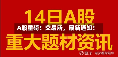 A股重磅！交易所，最新通知！-第2张图片