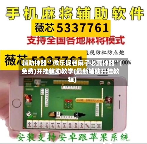 辅助神器“ 微乐捉老麻子必赢神器”(免费)开挂辅助教学(最新辅助开挂教程)-第2张图片
