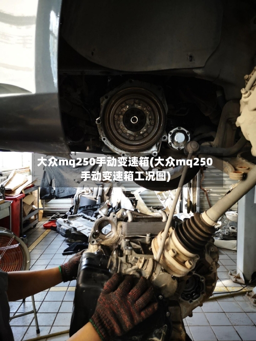 大众mq250手动变速箱(大众mq250手动变速箱工况图)