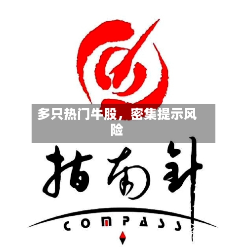 多只热门牛股，密集提示风险-第2张图片