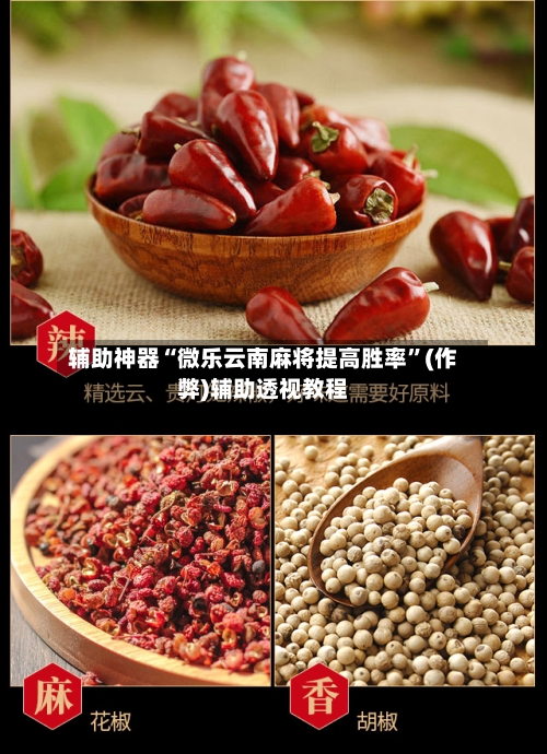 辅助神器“微乐云南麻将提高胜率”(作弊)辅助透视教程-第2张图片