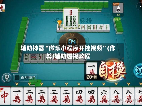 辅助神器“微乐小程序开挂视频”(作弊)辅助透视教程-第3张图片