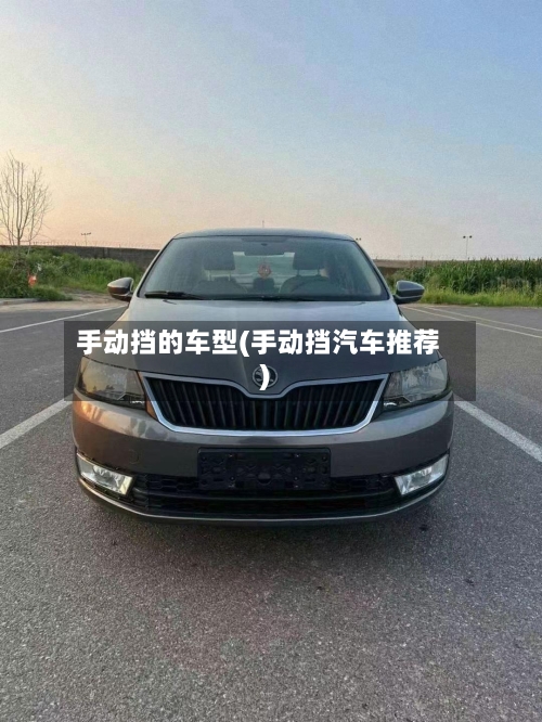 手动挡的车型(手动挡汽车推荐)