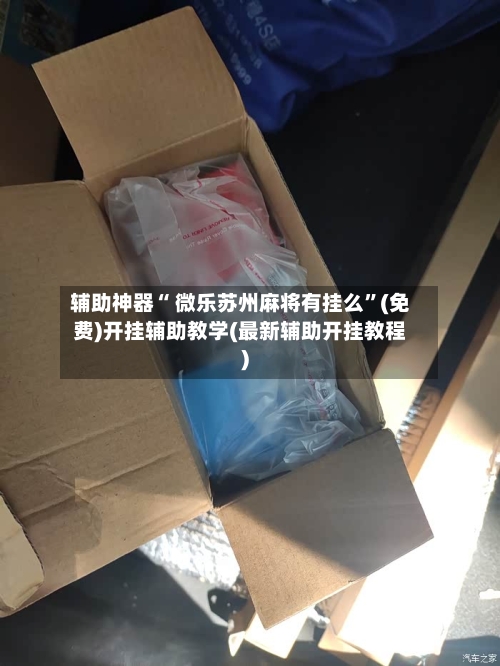 辅助神器“ 微乐苏州麻将有挂么”(免费)开挂辅助教学(最新辅助开挂教程)-第3张图片