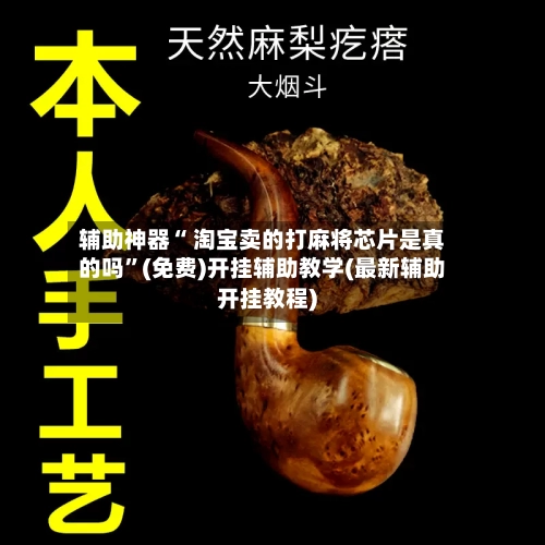 辅助神器“ 淘宝卖的打麻将芯片是真的吗”(免费)开挂辅助教学(最新辅助开挂教程)-第2张图片