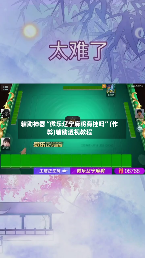 辅助神器“微乐辽宁麻将有挂吗”(作弊)辅助透视教程-第3张图片