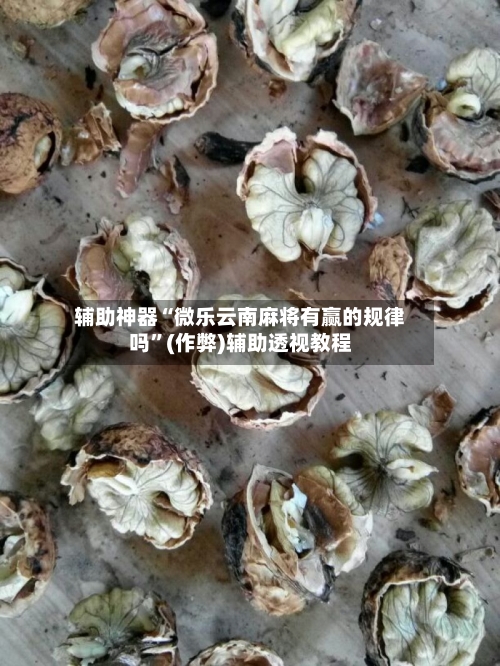 辅助神器“微乐云南麻将有赢的规律吗”(作弊)辅助透视教程