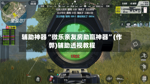 辅助神器“微乐亲友房助赢神器”(作弊)辅助透视教程-第3张图片