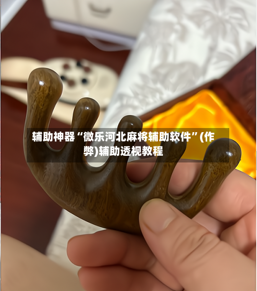 辅助神器“微乐河北麻将辅助软件”(作弊)辅助透视教程-第3张图片