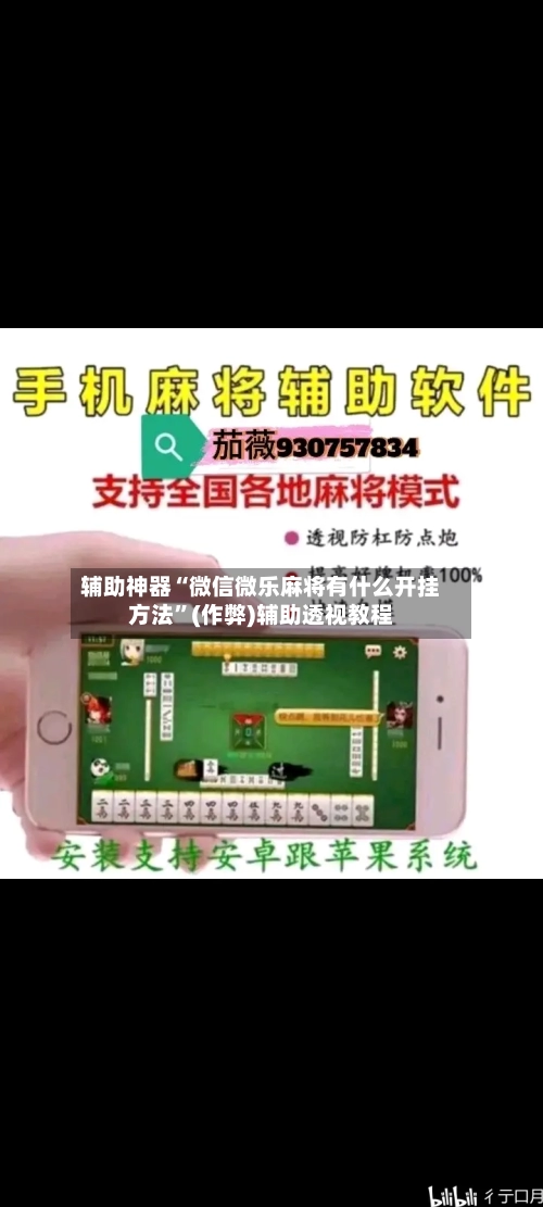 辅助神器“微信微乐麻将有什么开挂方法”(作弊)辅助透视教程-第2张图片