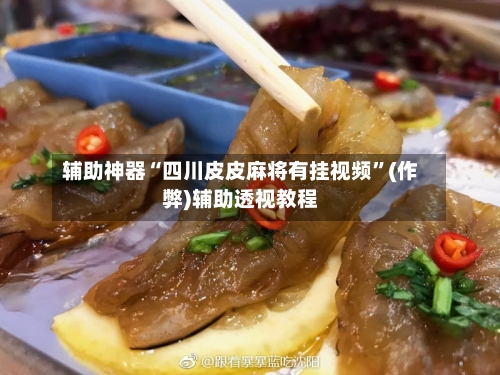辅助神器“四川皮皮麻将有挂视频”(作弊)辅助透视教程-第2张图片