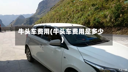 牛头车费用(牛头车费用是多少)