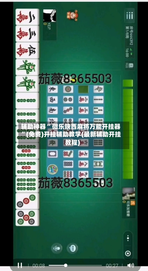 辅助神器“ 微乐陕西麻将万能开挂器”(免费)开挂辅助教学(最新辅助开挂教程)-第2张图片