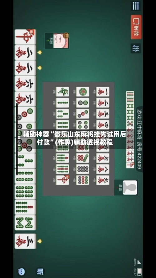 辅助神器“微乐山东麻将挂先试用后付款”(作弊)辅助透视教程