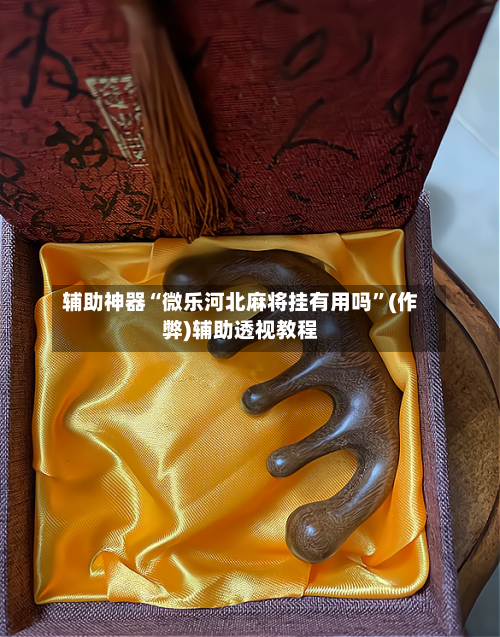 辅助神器“微乐河北麻将挂有用吗”(作弊)辅助透视教程-第2张图片
