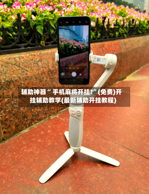 辅助神器“ 手机麻将开挂?”(免费)开挂辅助教学(最新辅助开挂教程)-第2张图片