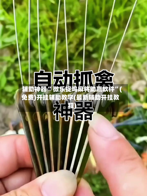 辅助神器“ 微乐捉鸡麻将助赢软件	”(免费)开挂辅助教学(最新辅助开挂教程)-第3张图片