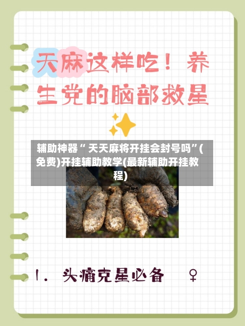 辅助神器“ 天天麻将开挂会封号吗”(免费)开挂辅助教学(最新辅助开挂教程)-第2张图片