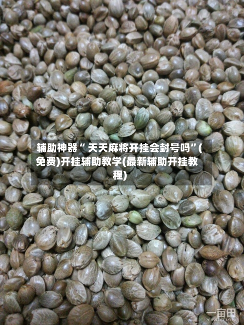 辅助神器“ 天天麻将开挂会封号吗”(免费)开挂辅助教学(最新辅助开挂教程)