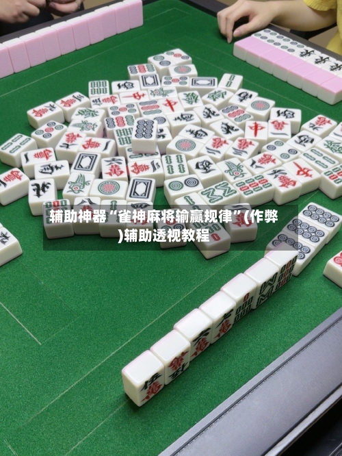辅助神器“雀神麻将输赢规律”(作弊)辅助透视教程-第3张图片