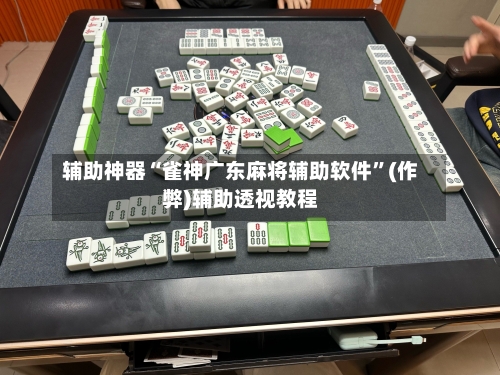 辅助神器“雀神广东麻将辅助软件”(作弊)辅助透视教程-第2张图片