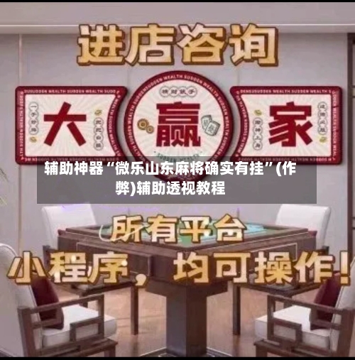 辅助神器“微乐山东麻将确实有挂	”(作弊)辅助透视教程-第3张图片