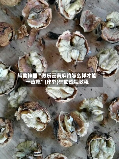 辅助神器“微乐云南麻将怎么样才能一直赢	”(作弊)辅助透视教程-第2张图片
