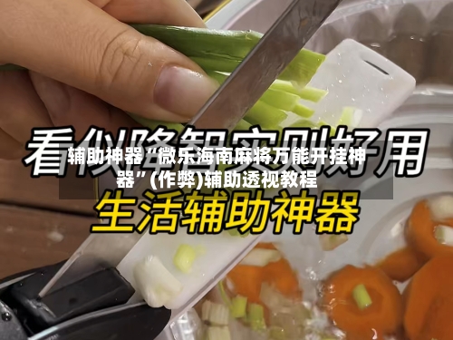 辅助神器“微乐海南麻将万能开挂神器	”(作弊)辅助透视教程-第2张图片