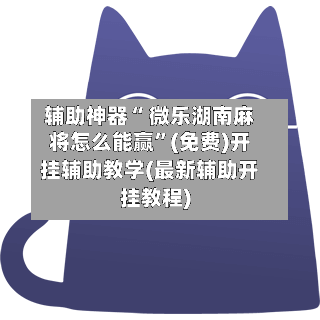 辅助神器“ 微乐湖南麻将怎么能赢”(免费)开挂辅助教学(最新辅助开挂教程)-第3张图片