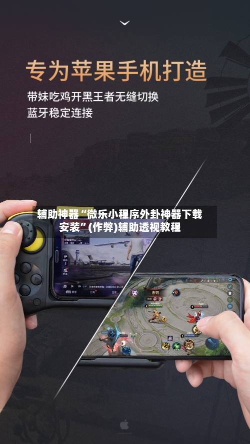 辅助神器“微乐小程序外卦神器下载安装”(作弊)辅助透视教程-第2张图片