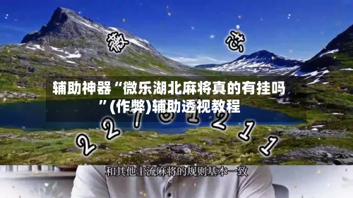 辅助神器“微乐湖北麻将真的有挂吗”(作弊)辅助透视教程-第2张图片