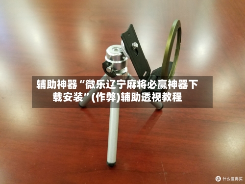 辅助神器“微乐辽宁麻将必赢神器下载安装”(作弊)辅助透视教程-第2张图片