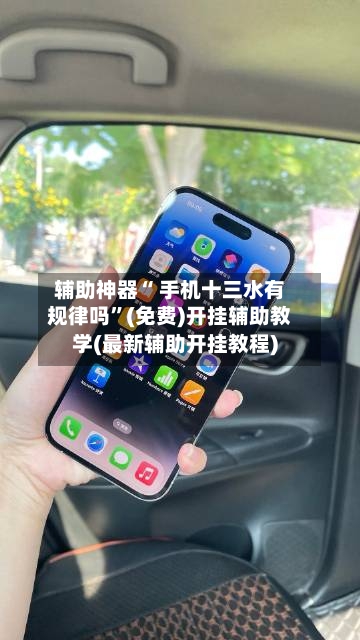 辅助神器“ 手机十三水有规律吗	”(免费)开挂辅助教学(最新辅助开挂教程)-第3张图片
