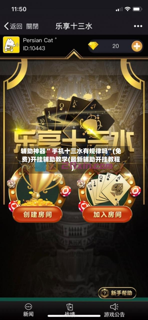 辅助神器“ 手机十三水有规律吗”(免费)开挂辅助教学(最新辅助开挂教程)-第2张图片