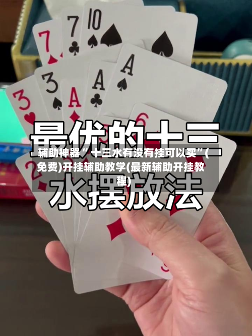 辅助神器“ 十三水有没有挂可以买”(免费)开挂辅助教学(最新辅助开挂教程)-第2张图片