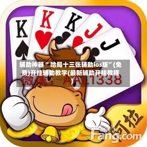 辅助神器“ 哈局十三张辅助ios版”(免费)开挂辅助教学(最新辅助开挂教程)