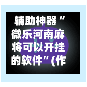 辅助神器“微乐河南麻将可以开挂的软件”(作弊)辅助透视教程