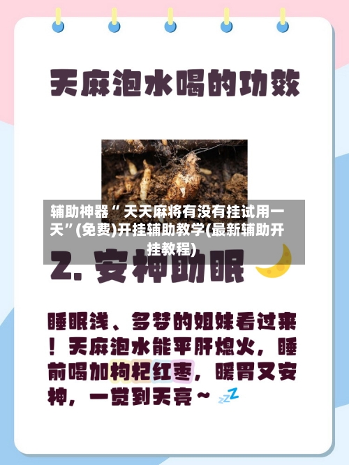 辅助神器“ 天天麻将有没有挂试用一天”(免费)开挂辅助教学(最新辅助开挂教程)-第2张图片