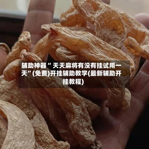 辅助神器“ 天天麻将有没有挂试用一天”(免费)开挂辅助教学(最新辅助开挂教程)