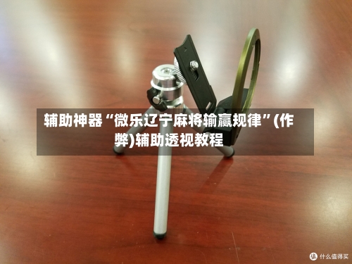辅助神器“微乐辽宁麻将输赢规律”(作弊)辅助透视教程-第3张图片