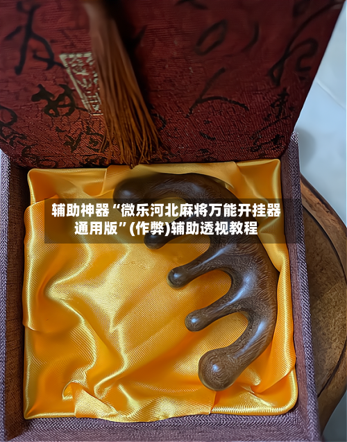 辅助神器“微乐河北麻将万能开挂器通用版	”(作弊)辅助透视教程-第2张图片