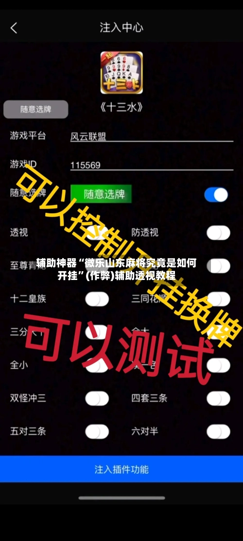 辅助神器“微乐山东麻将究竟是如何开挂”(作弊)辅助透视教程