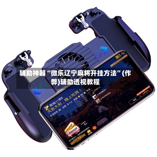 辅助神器“微乐辽宁麻将开挂方法”(作弊)辅助透视教程-第2张图片