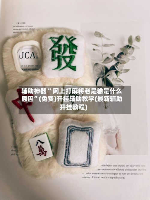 辅助神器“ 网上打麻将老是输是什么原因”(免费)开挂辅助教学(最新辅助开挂教程)-第2张图片