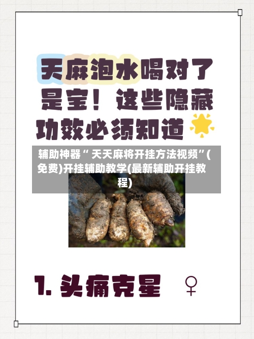 辅助神器“ 天天麻将开挂方法视频”(免费)开挂辅助教学(最新辅助开挂教程)-第2张图片