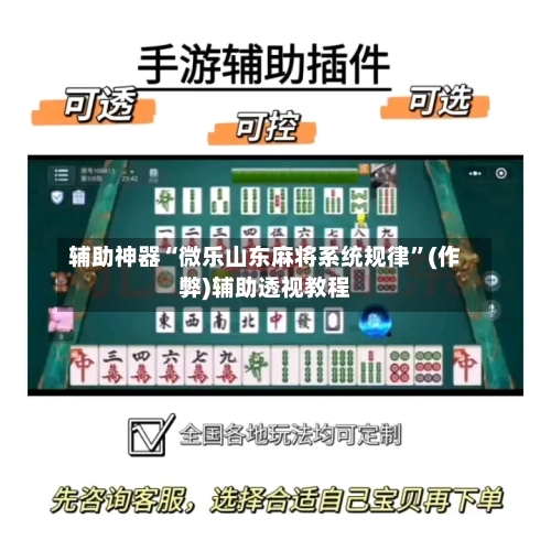辅助神器“微乐山东麻将系统规律”(作弊)辅助透视教程-第2张图片