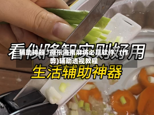 辅助神器“微乐海南麻将必赢软件”(作弊)辅助透视教程