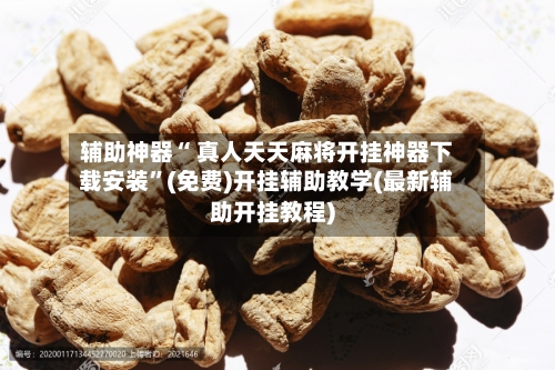 辅助神器“ 真人天天麻将开挂神器下载安装”(免费)开挂辅助教学(最新辅助开挂教程)